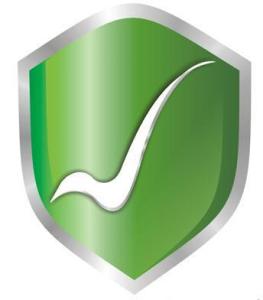 互聯(lián)網(wǎng)藥品信息服務(wù)管理辦法 規(guī)范網(wǎng)絡(luò)平臺(tái)，保障公眾用藥安全